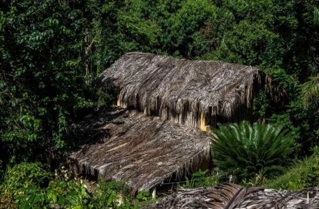 Jurassic Park Las Terrenas Republique Dominicaine